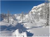 Koča pri Savici - Planina Lopučnica